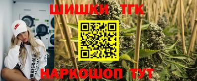 дживик Камышлов